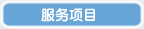 服务项目